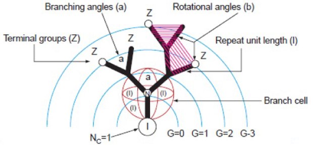 Schematic of dendritic polymers and their branched assemblies Schematic of dendritic branch including generation, repeat unit length, terminal groups, branching angles, and rotational angles.