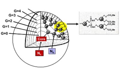 Mathematical formulas for calculating the theoretical dendrimer assembly as a function of generation. Mathematical expressions for calculating the theoretical number of surface groups (Z), branch cells (BCs), and molecular weights (M<sub>W</sub>s) for PAMAM dendrimers as a function of generation for the PAMAM dendrimer family, where: N<sub>c</sub>, N<sub>b</sub> = core, branch cell multiplicities; respectively, and G = generation. Reprinted with permission from reference 3, copyright 2004 Sigma-Aldrich; reference 5, 2005 Elsevier; and reference 6, 2012 Cambridge University Press.