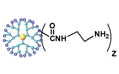 Schematic of PAMAM dendrimers with various surface functionalities. - A Amino (AmA)<br>(Cationic Dendrimer)