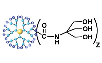 Schematic of PAMAM dendrimers with various surface functionalities. - C Tris(hydroxymethy aminomethane (TRIS))<br>(Neutral Dendrimer)