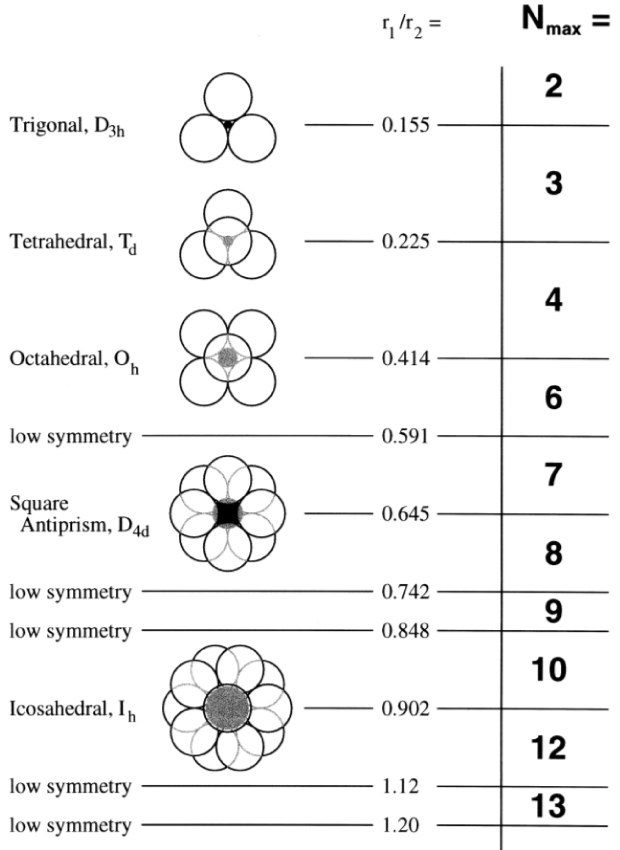 Schematic of symmetry properties of core-shell dendrimer structures Schematic of PAMAM dendrimer architecural components including the core, interior, and terminal groups.