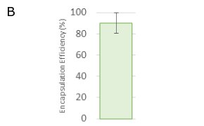 NanoFabTx™ Polymer Efficency were prepared. In vitro transfection of luciferase reporter mRNA-containing DOTAP liposomes was assessed in HeLa cells.