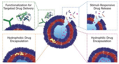 MATERIAL MATTERS, Volume 12, Number 2 Schematic highlighting the advantages of polymersomes for drug delivery.