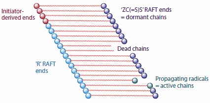 RAFT Polymerization Schematic.4 The number of chains of each type shown here is not in proportion to that expected for a well-designed experiment. On average, all living chains grow simultaneously and have equal chain length because equilibration of the dormant and active chain ends is rapid with respect to propagation. A RAFT agent is represented as ′ZC(=S)S′. Raft