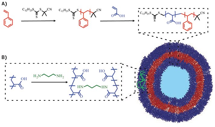 MATERIAL MATTERS, Volume 12, Number 2 Representative synthesis of BCP via RAFT polymerization and BCP self-assembly into polymersomes, as well as polymersome stabilization through crosslinking.