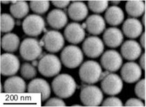 SEM image of PLLA-1 showing spherical shape and narrow polydispersity. SEM image of PLLA-1 showing spherical shape and narrow polydispersity.