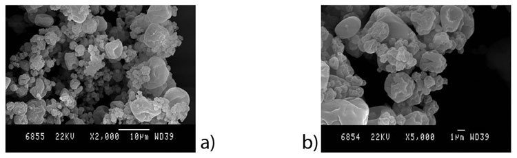 SEM images of chitosan-BSA-TPP microparticles prepared from formulation F4 using parameters P1 at a) 2,000 x and b) 5,000 x magnification. SEM images of chitosan-BSA-TPP microparticles prepared from formulation F4 using parameters P1