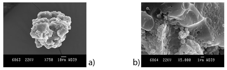 SEM images of chitosan microparticles prepared in formulation F5 using parameters P2 at a) 2,000 x and b) 5,000 x magnifaction. SEM images of chitosan microparticles prepared in formulation F5 using parameters P2