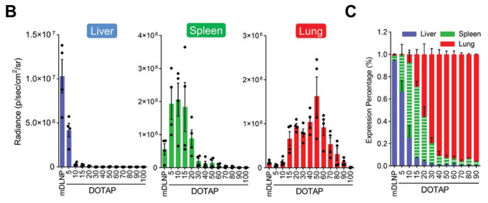 Quantification data for tissue-specific delivery Two images, the one on the left labeled B, shows three graphs obtained for liver, spleen, and lung (left to right) with radiance plotted as a function of % DOTAP demonstrating that SORT molecule percentage is the most crucial factor for tissue-specific delivery. One on the right, labeled as C, shows a graph plotted for expression percentage of luciferase protein in liver (blue), spleen (green), and lung (red) as a function of % DOTAP.