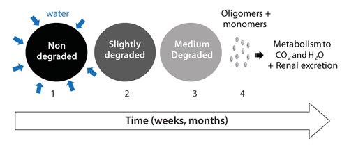 Steps of Polymers Biofate The biofate of RESOMER® polymers includes several steps: (1) Wetting and water diffusion, (2) Decrease of the molecular weight = Polymer degradation (3) Mass loss = Polymer erosion and (4) Renal excretion or metabolism to carbon dioxide and water.