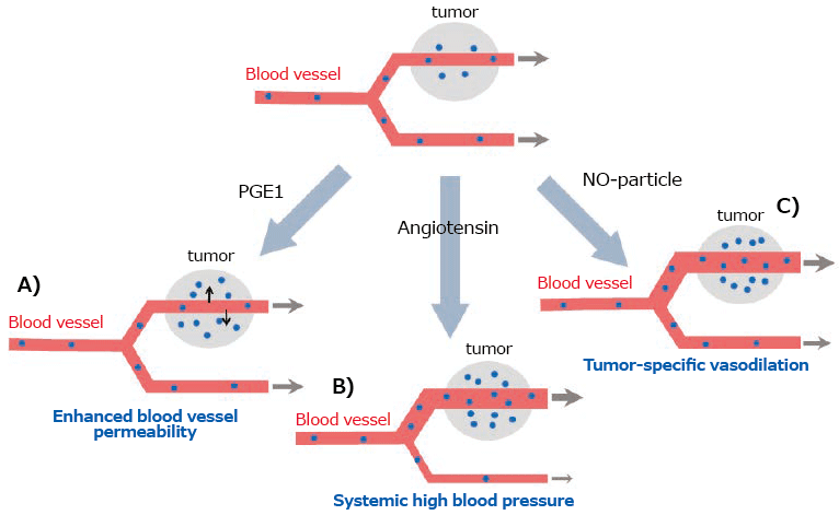 Strategies of enhancement in EPR Effect Strategies of Enhancement in EPR Effect