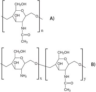 Chemical structure of chitin and chitosan. Chemical structure of A) chitin and B) chitosan.