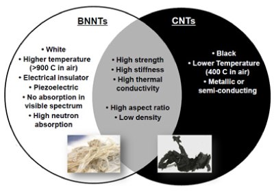 BNNTs and CNTs Venn Diagram Black and white Venn diagram compares BNNTs and CNTs, listing distinct and shared traits, with photos of light fibrous BNNTs and dark tangled CNTs under each section.