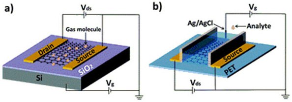 (a) Typical back-gate GFET on Si/SiO2 substrate used as gas sensor. (b) Typical solution-gate GFET on flexible polyethylene terephthalate (PET) substrate used as chemical and biological sensor in aqueous solution. Reproduced from reference 31 with permission from the Centre National de la Recherche Scientifique (CNRS) and The Royal Society of Chemistry. Gfet sensors