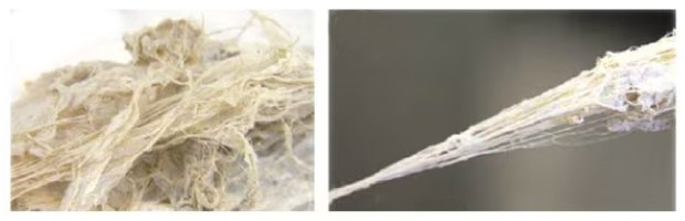 Fibril Materials Color image shows wispy, beige fibril clusters on the left and a thin, stretched yarn-like bundle drawn from the fibers on the right, both set against neutral backgrounds.