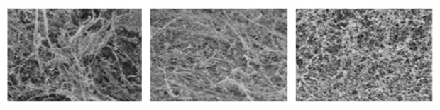 SEM Micrographs of BNNT material Black and white image shows three SEM micrographs of BNNT material, revealing dense, entangled fibrous networks with increasing texture uniformity from left to right.