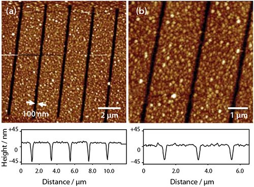 ホスホン酸単分子層を用いて作製したナノ構造
