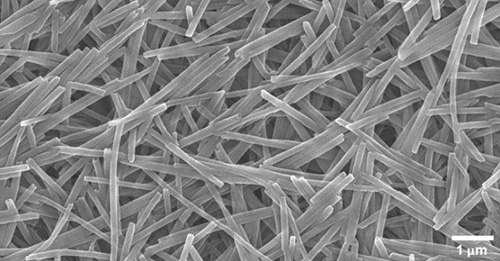 SEM image showing uniform diameter and purity of PDNT.