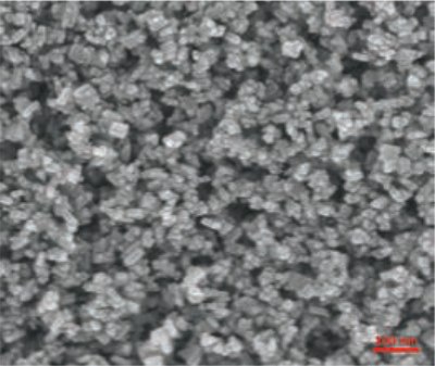 paste-based SEM image