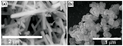 SEM images of BaTiO3 nanorods and SrTiO3 nanocubes. SEM images of BaTiO3 nanorods and SrTiO3 nanocubes.