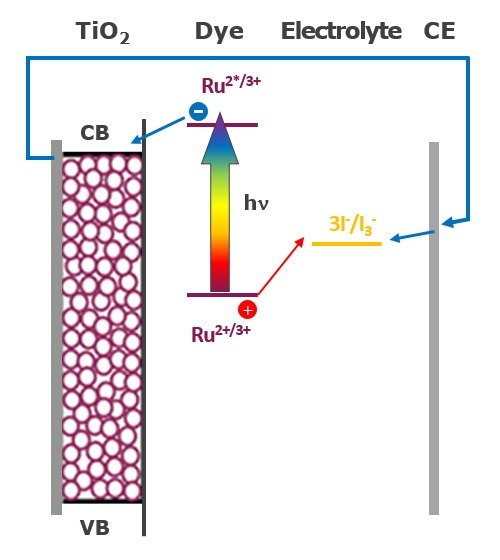 Schematic of electron pathway in a Dye-sensitized Solar Cells (DSC) system Schematic of electron pathway in a Dye-sensitized Solar Cells (DSC) system