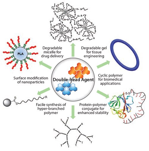 biomaterials synthesized