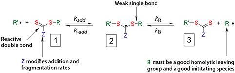 mechanism-for-reversible-addition-fragmentation-chain-transfer Mechanism for reversible addition-fragmentation chain transfer