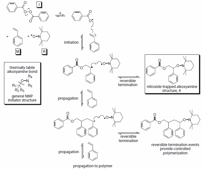 Overall Mechanism For NMP Overall Mechanism For NMP