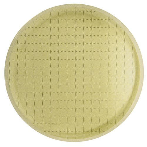 Agar plate before incubation Placa de agar, membrana microbiana Alt text: Placa de agar con membrana, sin colonias bacterianas visibles