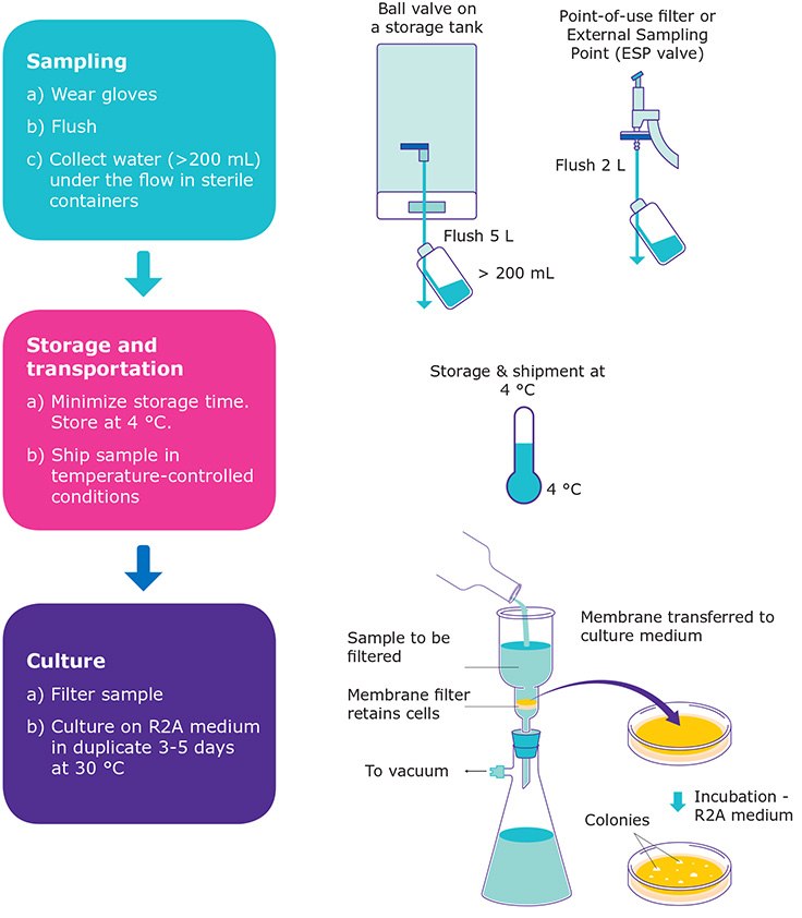 Steps to assess the level of bacteria in purified water Steps to assess the level of bacteria in purified water