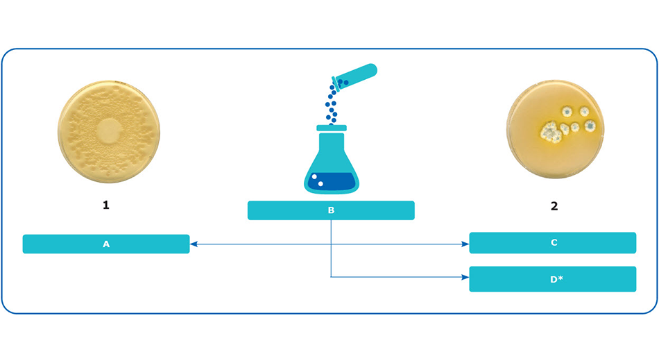 Diagram: Microbial Enumeration Tests Diagram: Microbial Enumeration Tests