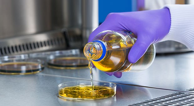 Liquid medium to use for microbial testing A liquid medium is being poured into a Petri dish