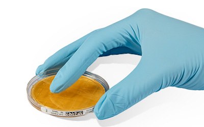 Surface Monitoring with ICR Contact Plates Hand with gloves pressing a culture media contact plate on a surface.