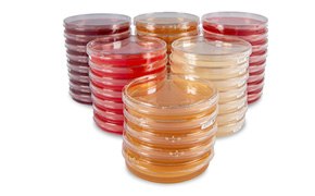 ICR and ICRplus Settle Plates Piles of different types of settle plates for microbial air monitoring.