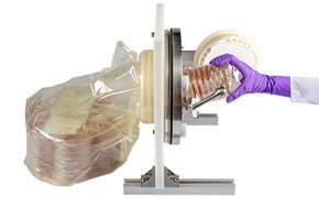 Isobag Reduces Decontamination A gloved hand is placing a stack of petri dishes into a large autoclave, with a clear plastic bag partially visible, showcasing the contents being handled in a sterile manner.