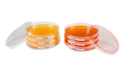 LI Settle Plates Non-irradiated settle plates for microbial air monitoring.