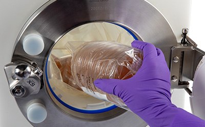 Transferring culture media plates into critical areas using IsoBag® Rapid Transfer Solution A gloved hand is placing a sealed bag containing a stack of petri dishes into a large autoclave chamber, which has a circular opening and metallic edges, indicating a sterile environment.