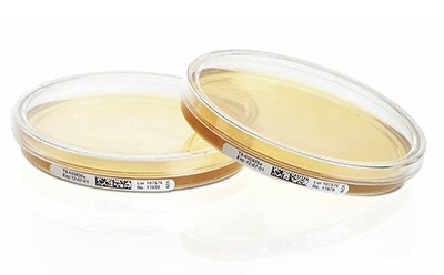 Tryptic Soy Agar Plate Tryptic Soy Agar (TSA, Soybean Casein Digest Agar) plate