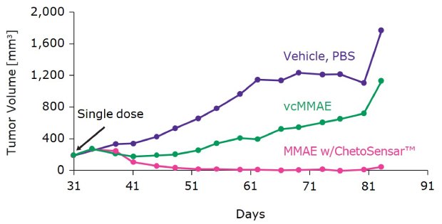 Effect of ChetoSensar-ADC on tumor volume The graph shows effect of ChetoSensar™-ADC on tumor volume reduction close to baseline compared to vehicle and ADC without ChetoSensar™.