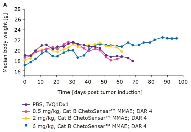 Body weight of mice treated with ChetoSensar-ADCs A Chart demonstrating that body weight of mice treated with ChetoSensar™-ADCs DAR 4 shows good tolerability in-vivo.