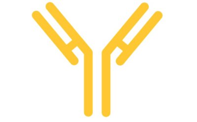 Monoclonal Antibody (mAb) monoclonal antibody (mAb)