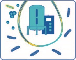 CCM with mycoplasma and bacteria. Bioreactor