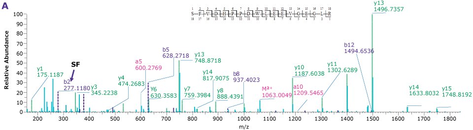 Product ion spectra providing sequence coverage of VP1, VP2, and VP3 N-termini as well as C-terminus of each Four product ion spectra providing the sequence coverage of VP1, VP2, and VP3 N-termini as well as C-terminus of each indicating the observed mass fragments.
