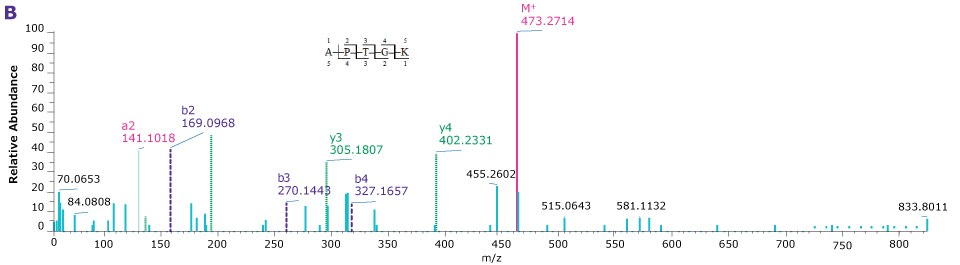Product ion spectra providing sequence coverage of VP1, VP2, and VP3 N-termini as well as C-terminus of each Four product ion spectra providing the sequence coverage of VP1, VP2, and VP3 N-termini as well as C-terminus of each indicating the observed mass fragments.
