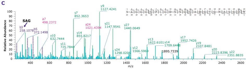 Product ion spectra providing sequence coverage of VP1, VP2, and VP3 N-termini as well as C-terminus of each Four product ion spectra providing the sequence coverage of VP1, VP2, and VP3 N-termini as well as C-terminus of each indicating the observed mass fragments.