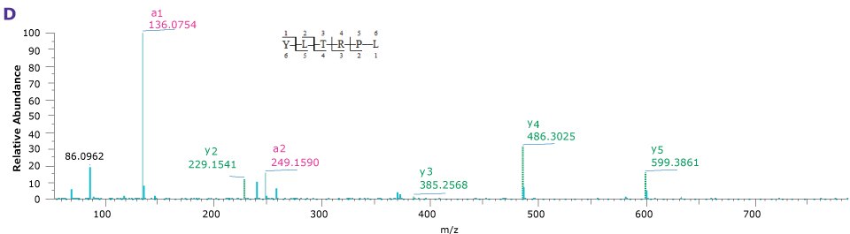 Product ion spectra providing sequence coverage of VP1, VP2, and VP3 N-termini as well as C-terminus of each Four product ion spectra providing the sequence coverage of VP1, VP2, and VP3 N-termini as well as C-terminus of each indicating the observed mass fragments.