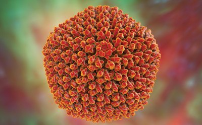 Viral Vector image