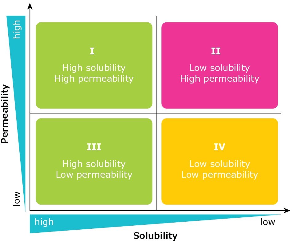 The Biopharmaceutics Classification System categorizes APIs in terms of permeability and solubility into four classes.