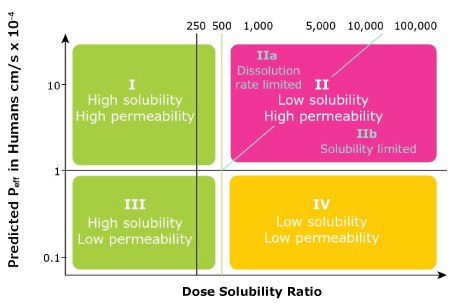 The Developability Classification System for APIs adds to the Biopharmaceutics Classification System by including Class IIa for dissolution rate limited APIs and Class IIb for solubility limited APIs