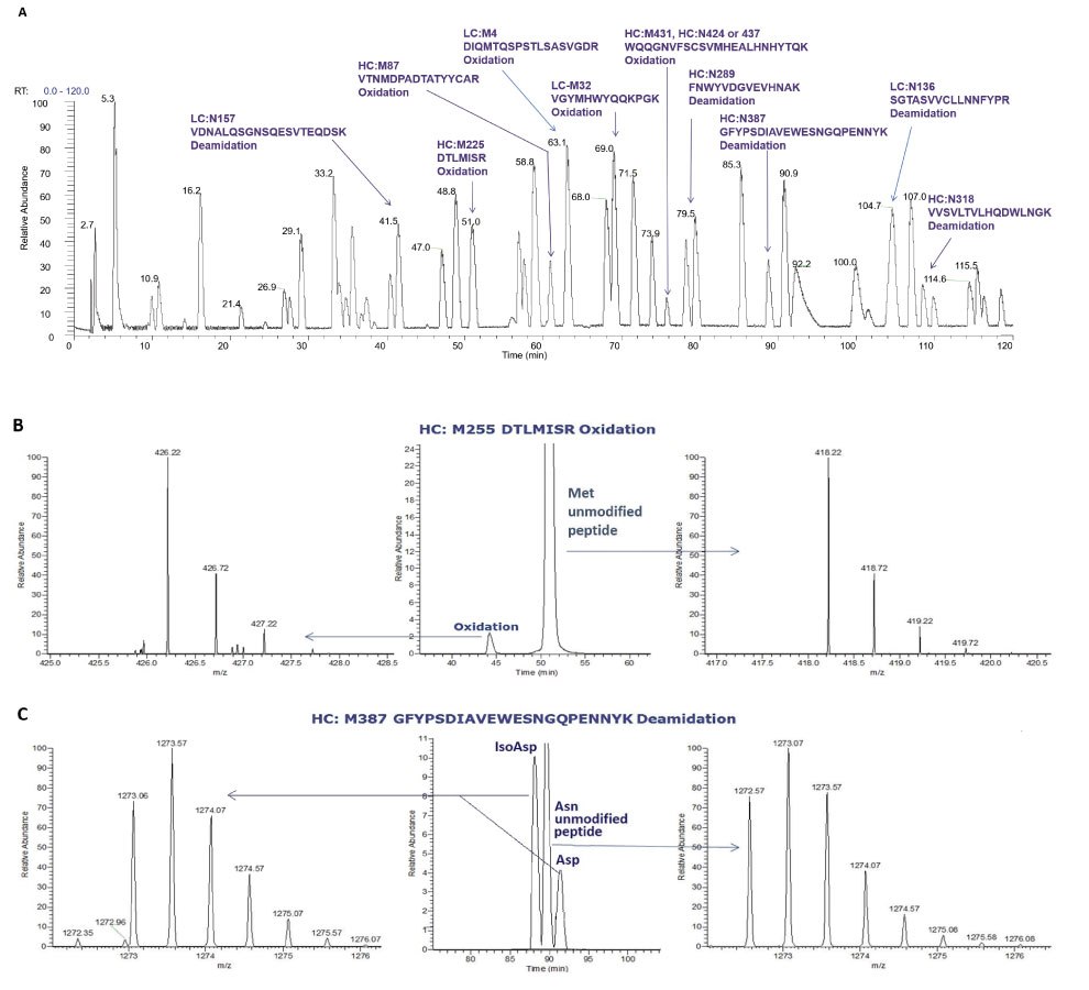 Base peak chromatogram of tryptic digested NISTmAb, extracted ion chromatogram and MS spectrum of the peptide DTLMISR and peptide with an oxidized methionine residue, and XIC and MS spectrum of a peptide and deamidated peptide Three chromatograms showing base peak chromatogram of tryptic digested NISTmAb, extracted ion chromatogram and MS spectrum of the peptide DTLMISR and peptide with an oxidized methionine residue, and XIC and MS spectrum of a peptide and deamidated peptide